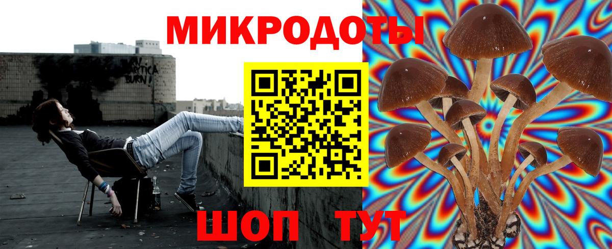 Псилоцибиновые грибы ЛСД Кисловодск