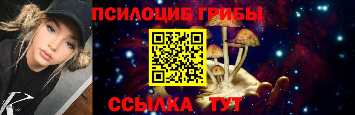 Галлюциногенные грибы прущие грибы  Вход с VPN  Кисловодск 